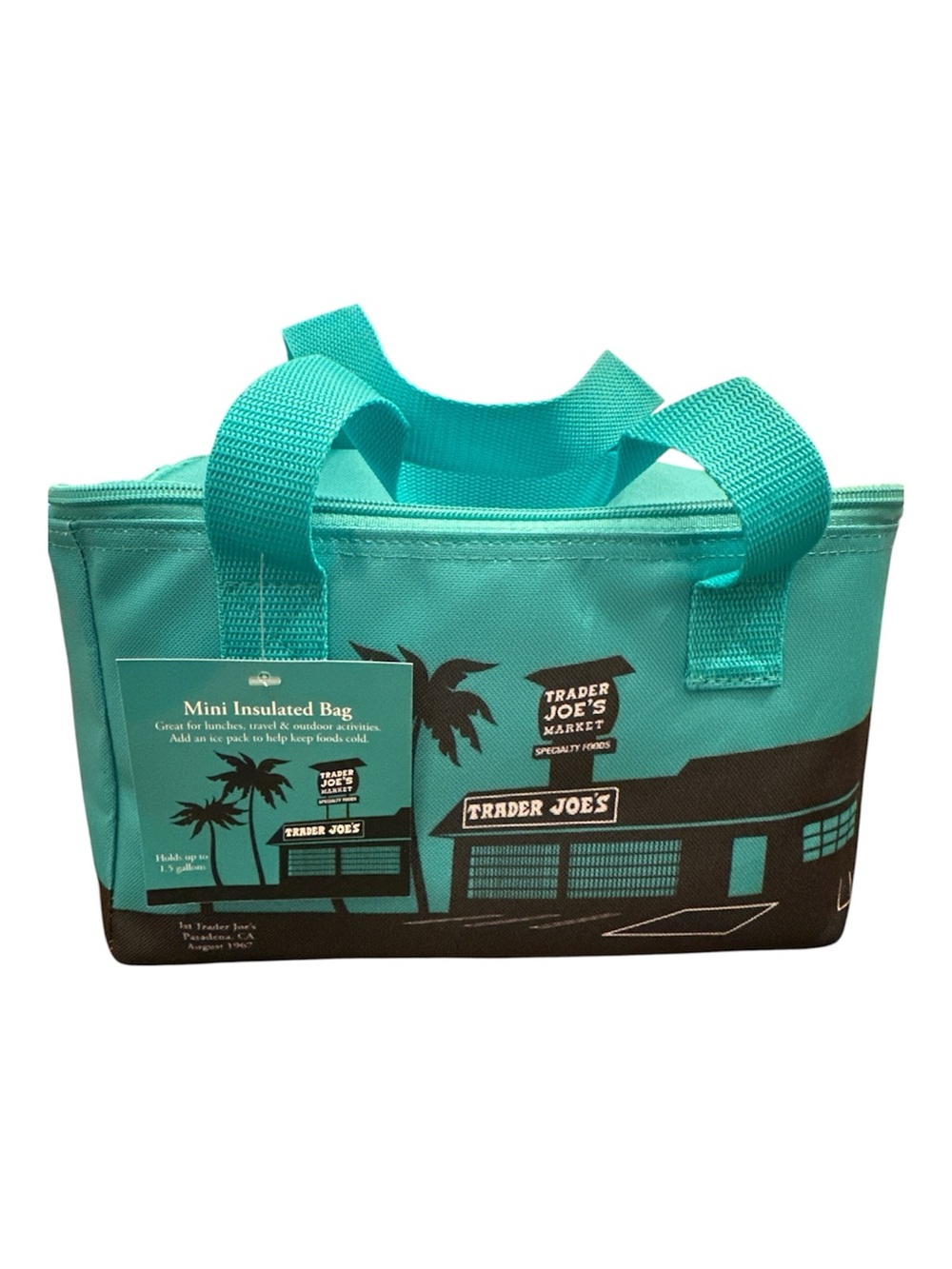 Trader Joe's Teal Mini Insulated Tote Great for food or cosmetics!